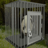 Baby Panda Escape