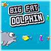 BIG FAT DOLPHIN