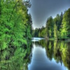 Brunet Island State Park Jigsaw