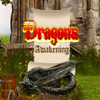 Dragons Awakening