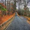Hot Springs National Park Jigsaw