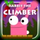 Rabbit The Climber