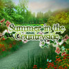 Summer in the Countryside