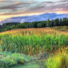 Wyalusing State Park Jigsaw